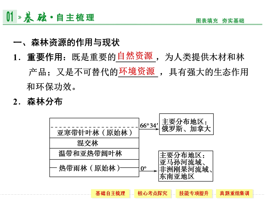 三部分十三讲森林的开发和保护——以亚马孙热带雨林为例课件.ppt_第2页