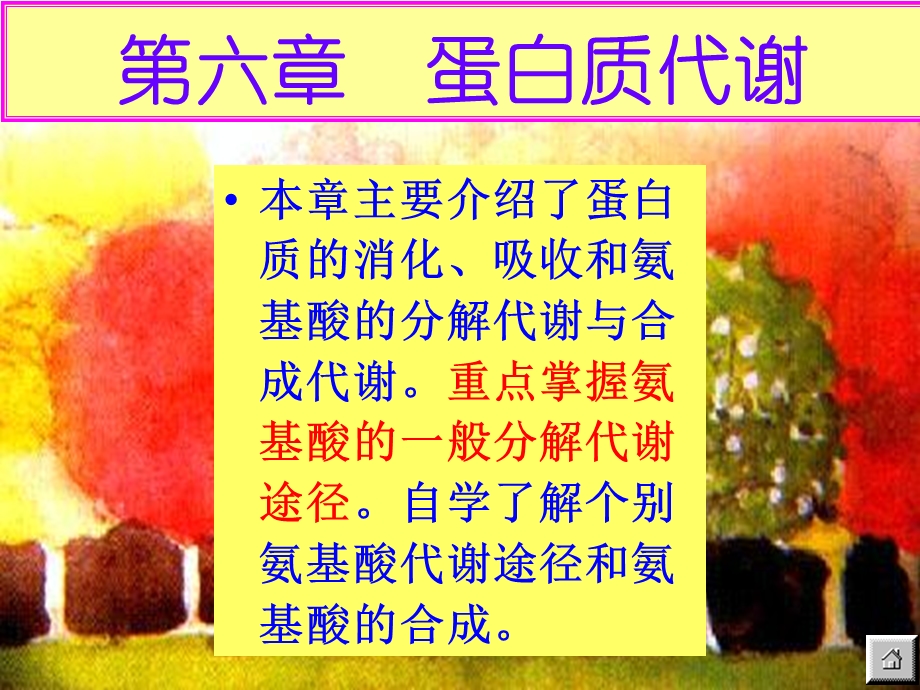 第六章蛋白质代谢课件.ppt_第2页