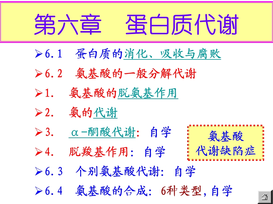 第六章蛋白质代谢课件.ppt_第3页