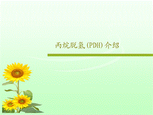 丙烷脱氢（PDH）介绍课件.ppt