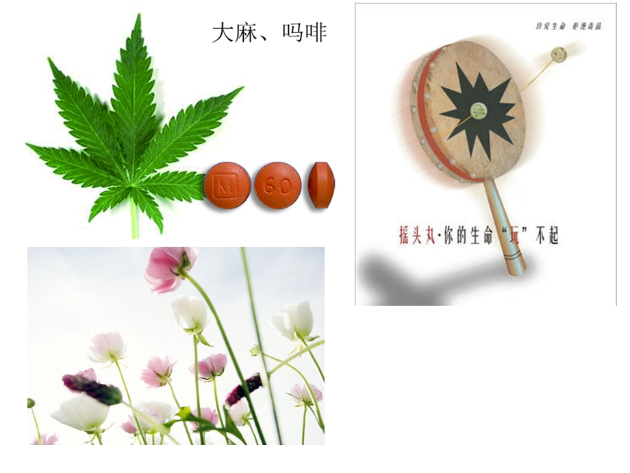 《第四节--珍爱生命-拒绝毒品》ppt课件.ppt_第3页