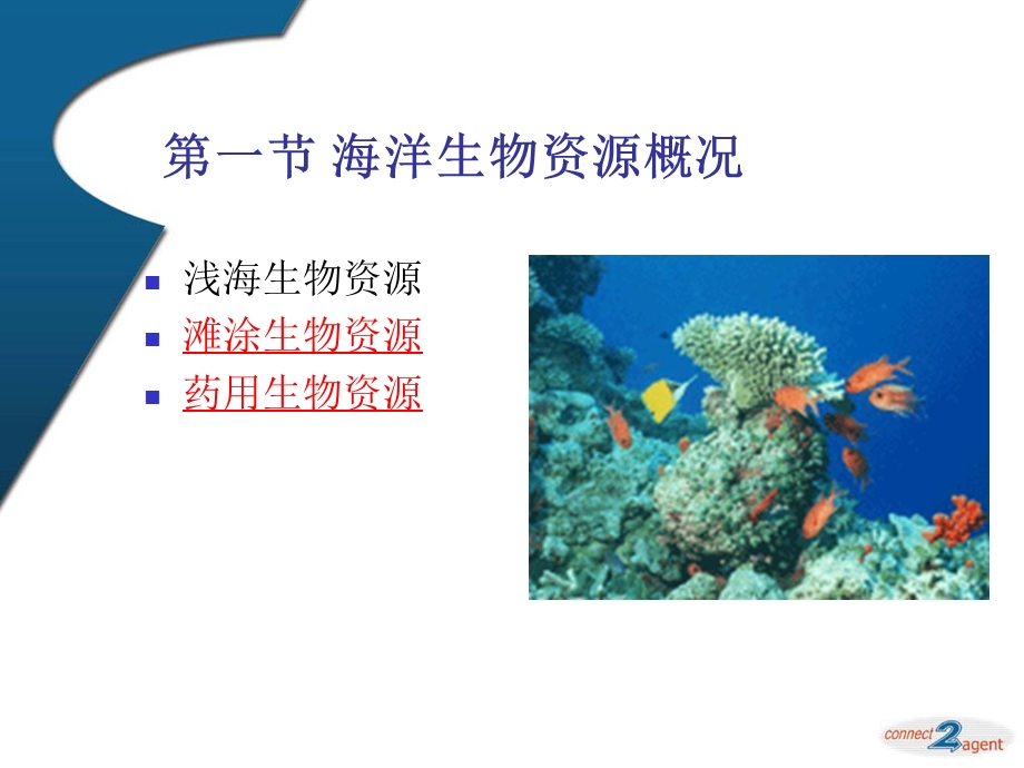 综合开发海洋生物资源课件.ppt_第3页