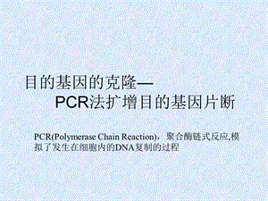 目的基因的克隆PCR法扩增目的基因片断课件.ppt