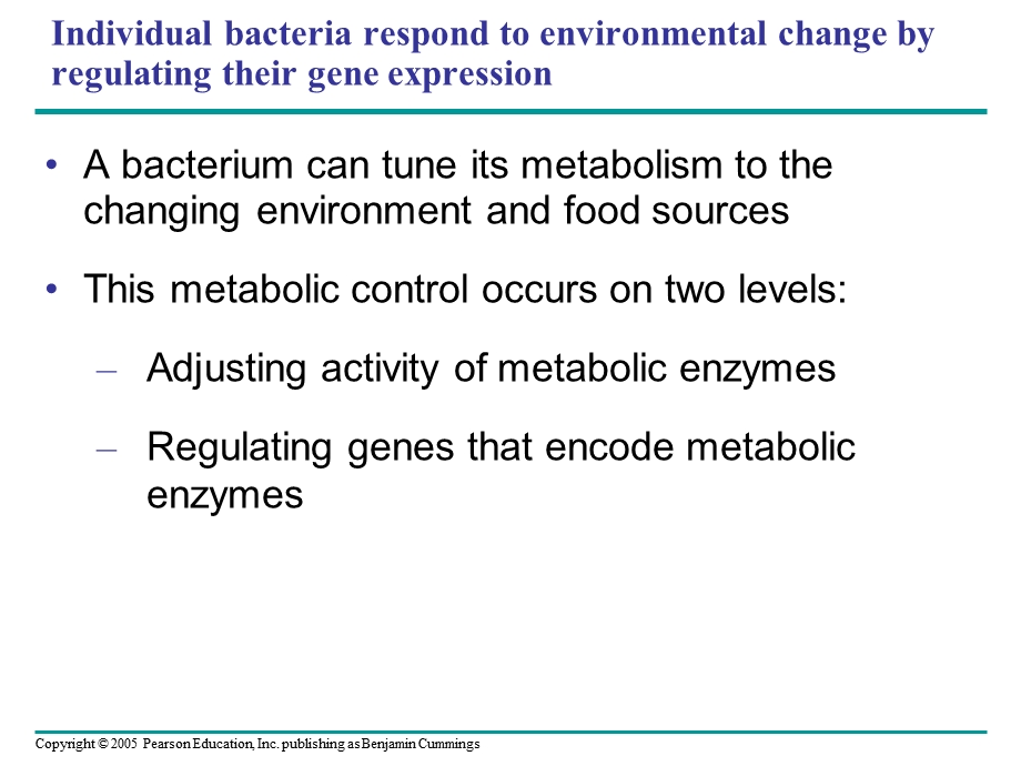 Prokaryotic-Gene-Regulation：原核基因表达调控课件.ppt_第3页