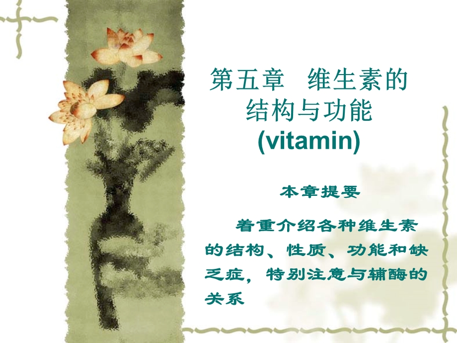 维生素的结构与功能vitamin课件.ppt_第1页