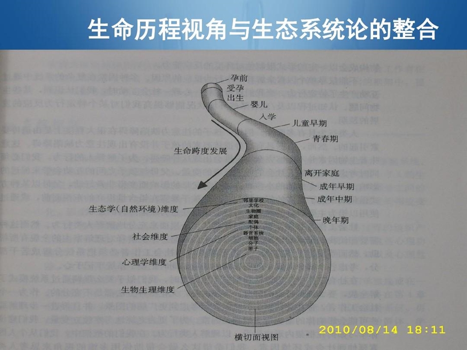 人类行为与社会环境青春期课件.ppt_第3页