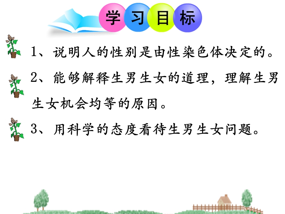 《第四节-人的性别遗传》课件(海南省省级优课).ppt_第3页