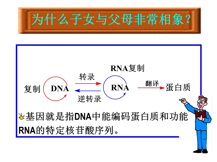 DNA合成与修复-课件.ppt_第1页
