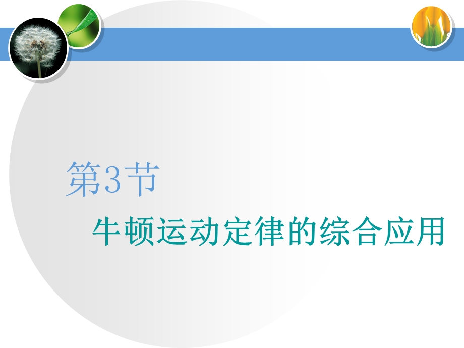 2020届高三物理一轮复习ppt课件：牛顿运动定律的综合应用.ppt_第1页