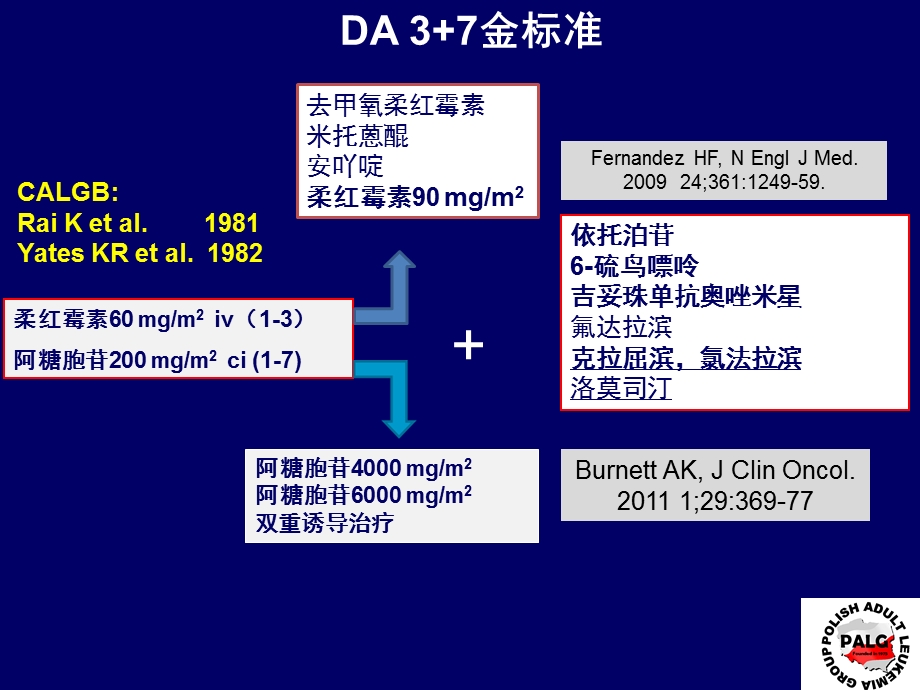 AML诱导治疗新方案课件.ppt_第3页