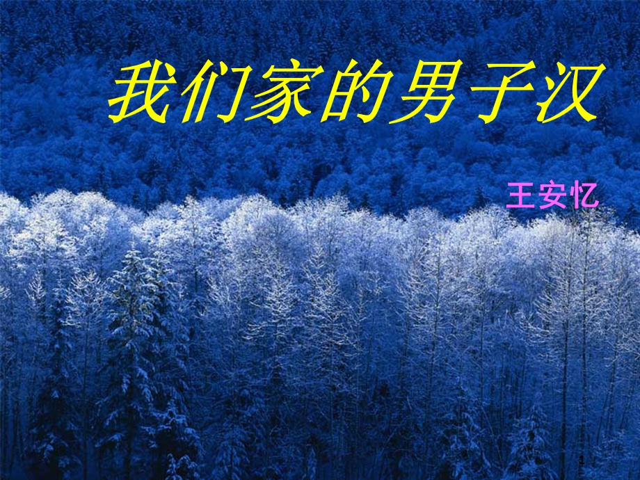 苏教版七下《我们家的男子汉》ppt课件.ppt_第1页