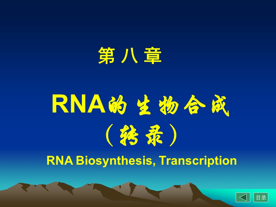 RNA的生物合成转录-生物化学与分子生物学课件.ppt_第1页