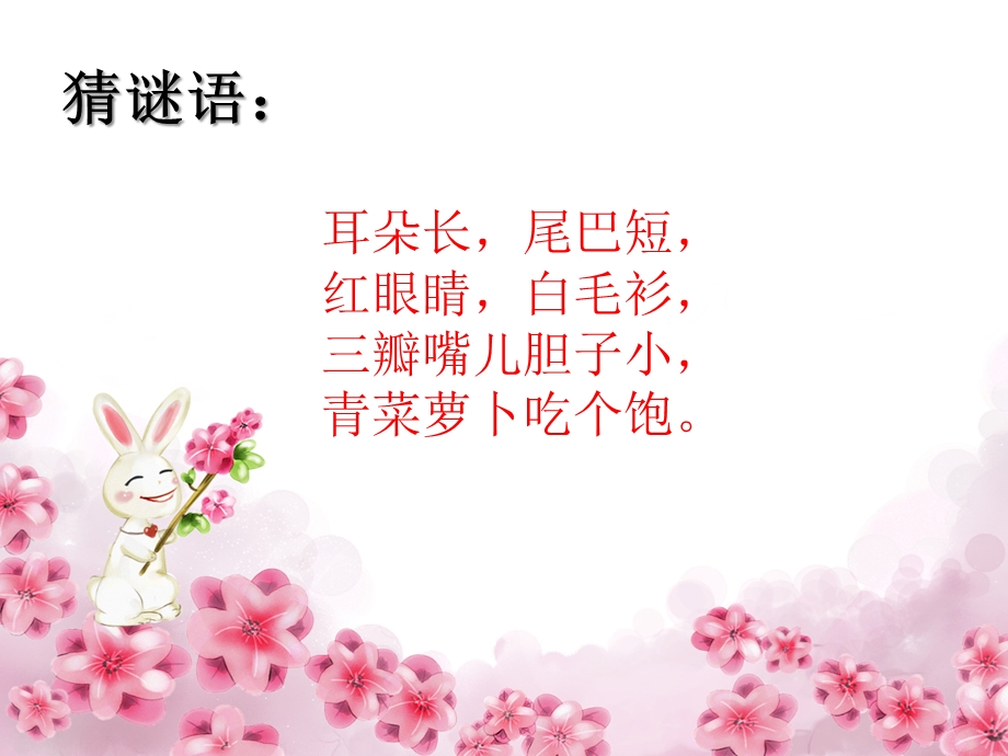 粤教花城版小学音乐--《小兔子乖乖》ppt课件.ppt_第2页