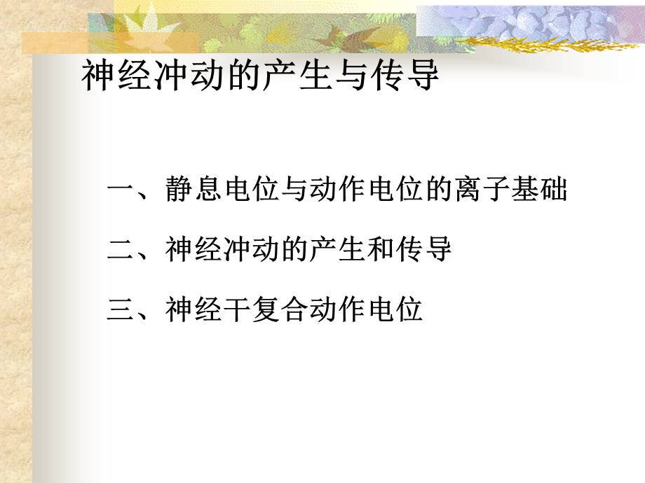 神经肌肉的一般生理特性课件.ppt_第2页