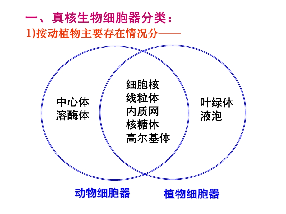 线粒体叶绿体核糖体课件.ppt_第3页