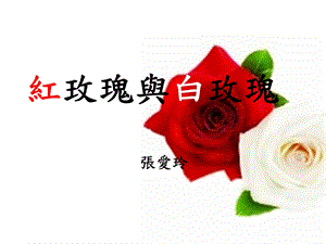 红玫瑰与白玫瑰课件.ppt