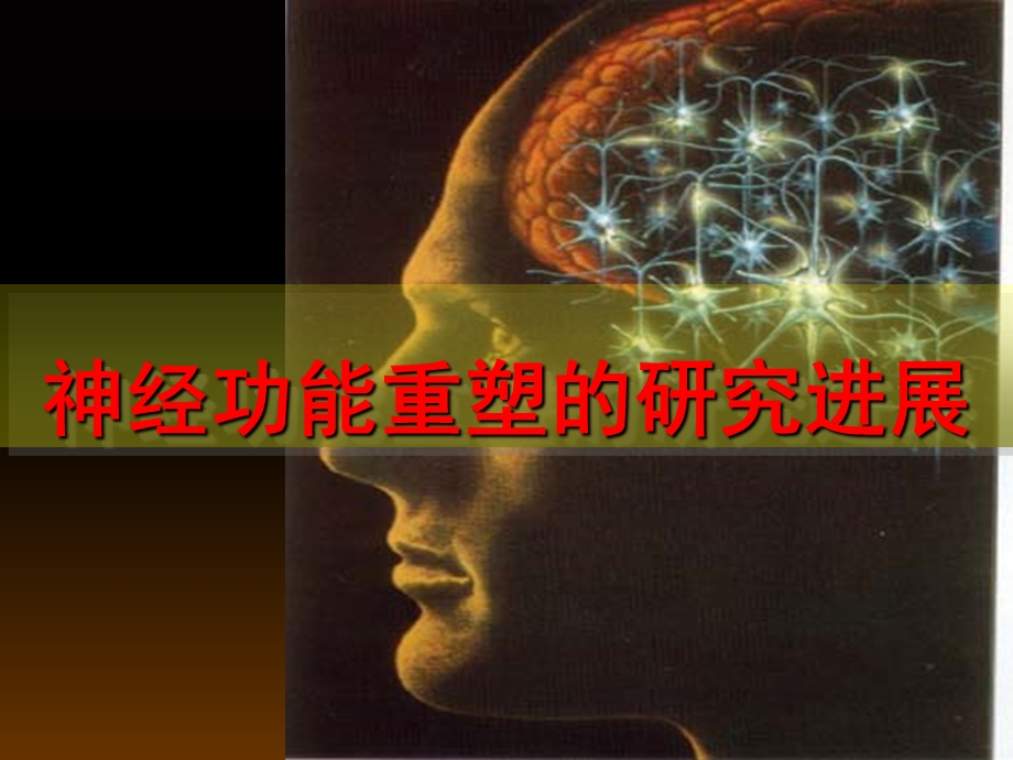 神经功能重塑的研究进展-课件.ppt_第1页