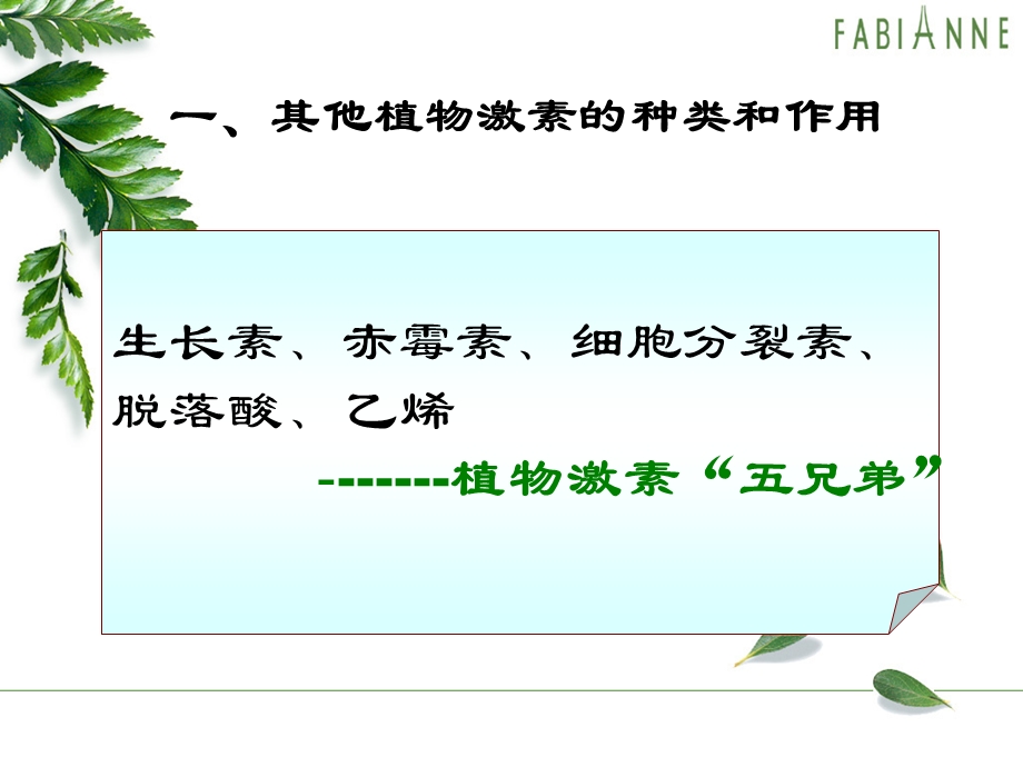 乙烯利植物生长调节剂二课件.ppt_第1页