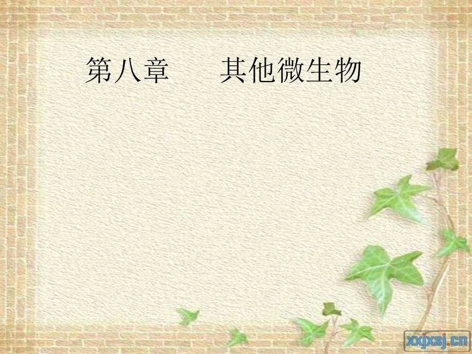 第八章其他微生物课件.ppt_第1页