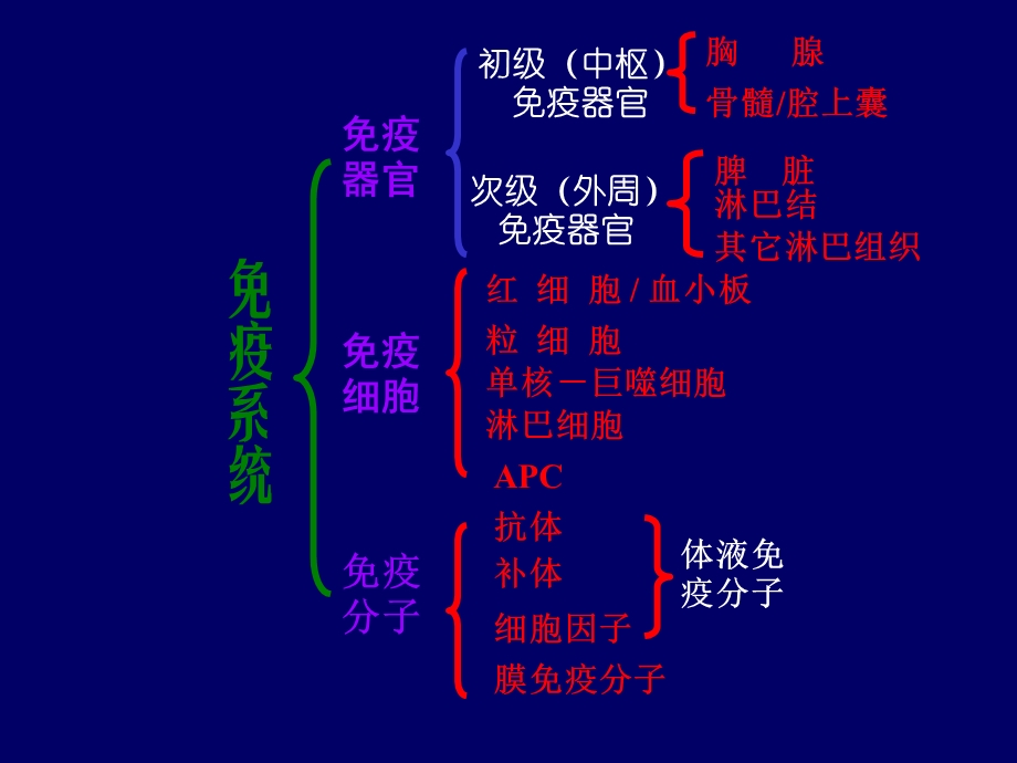 谱系阴性细胞课件.ppt_第2页