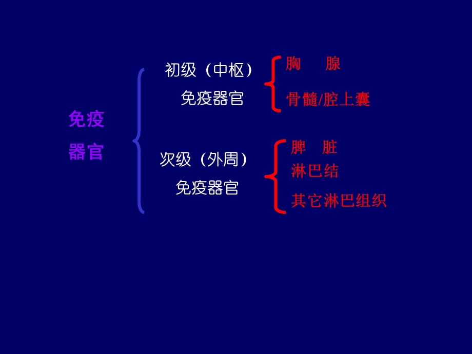 谱系阴性细胞课件.ppt_第3页