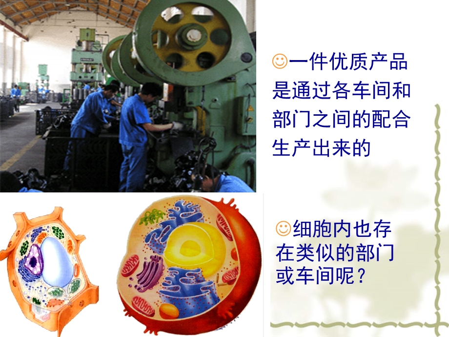 细胞器系统分工课件.ppt_第1页