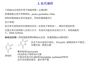 细胞周期抑制剂-BioNMRLabUSTC课件.ppt