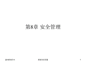 第8章安全管理课件.ppt