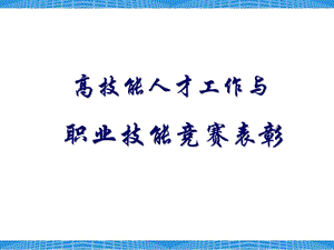 高技能人才工作与职业技能竞赛表彰课件.pptx