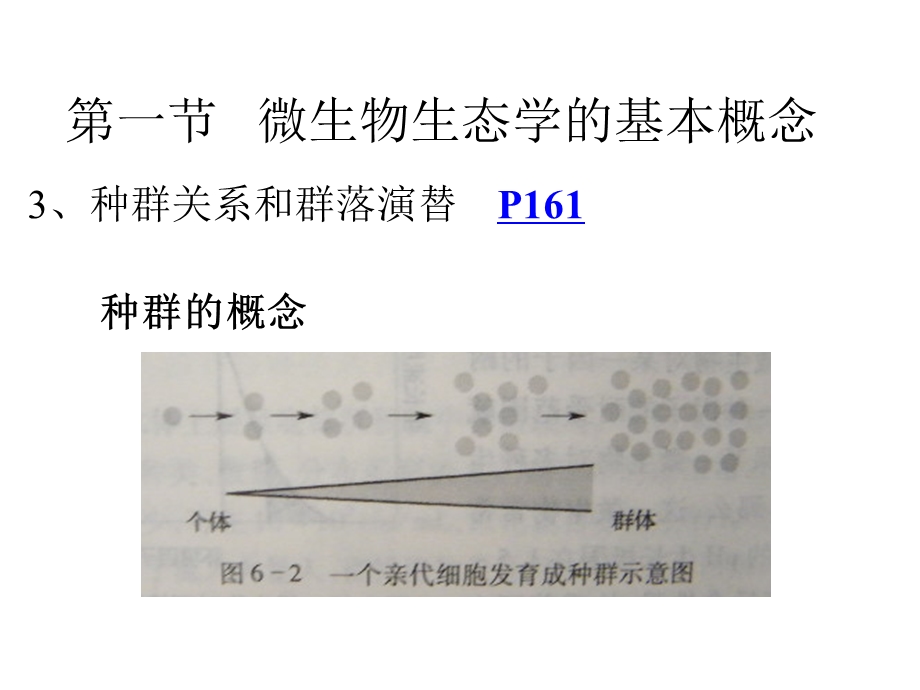 粪大肠菌群课件.ppt_第3页