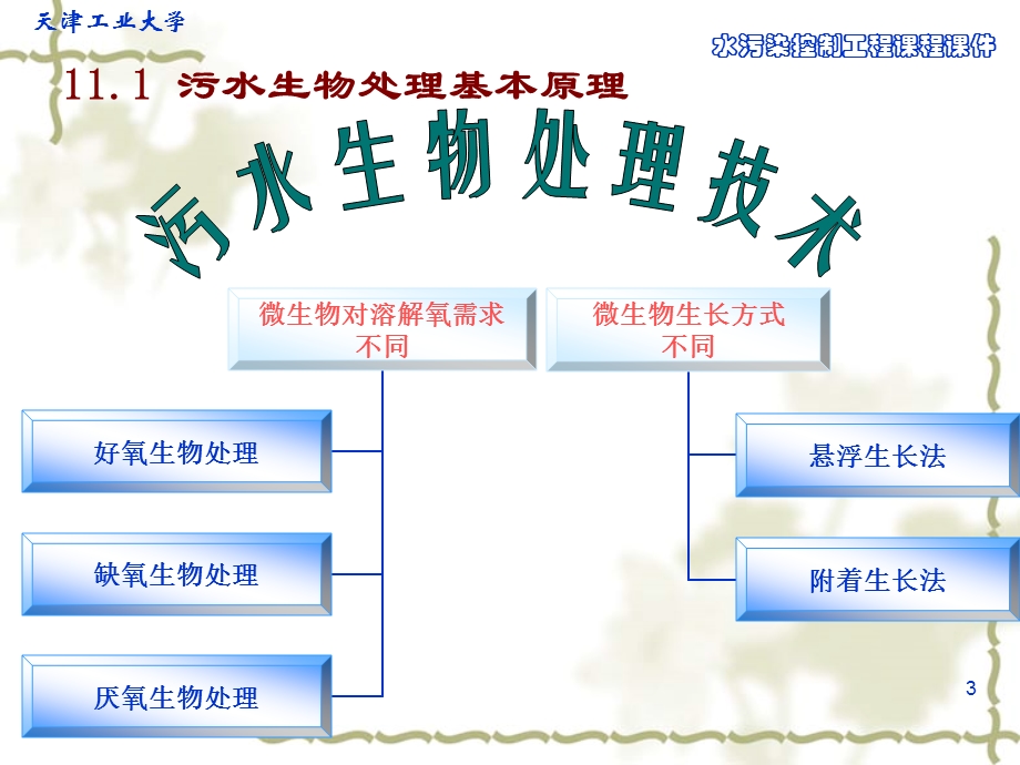 第十一章-污水生物处理的基本概念和生化反应动力学基础要点课件.ppt_第3页