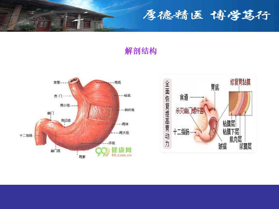 胃癌患者护理查房课件.ppt_第3页