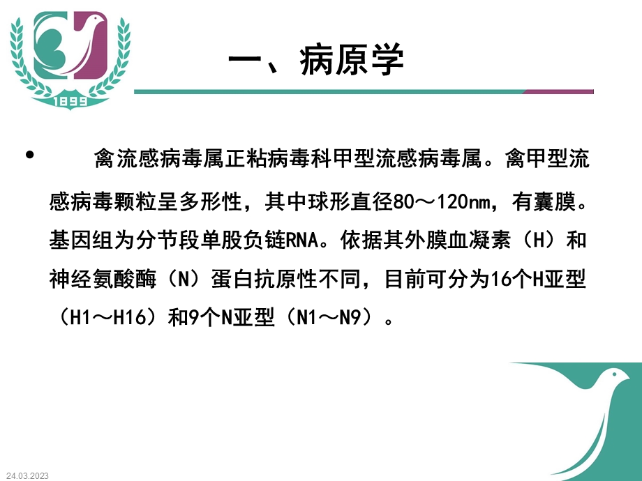 H7N9禽流感诊疗方案课件.ppt_第3页