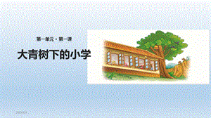 《大青树下的小学》ppt课件完美版.pptx