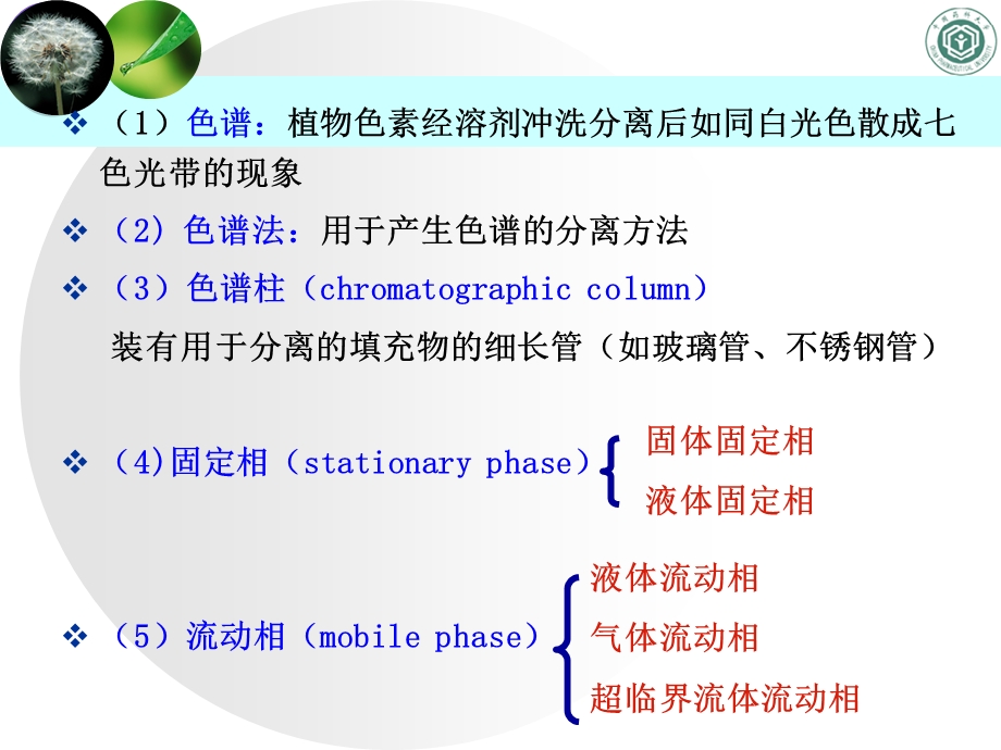 色谱法Tswett叶绿素分离试验课件.ppt_第3页