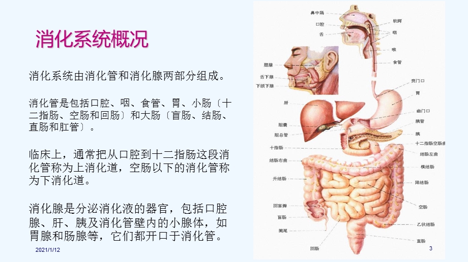 胃肠镜前后的护理课件.ppt_第3页