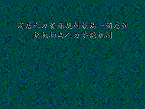 酒店人力资源规划模块一酒店组织机构与人力资源规划课件.ppt