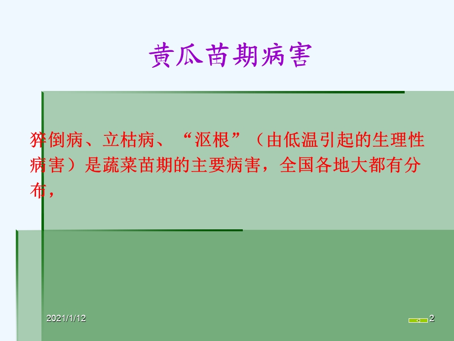 黄瓜病虫害防治课件.ppt_第2页