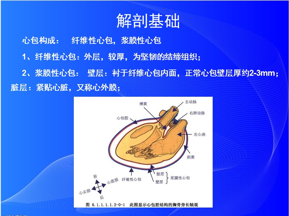 肝静脉扩张课件.ppt_第2页