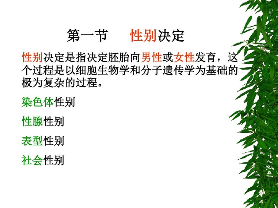 两性分化与生殖系统疾病课件.ppt_第2页