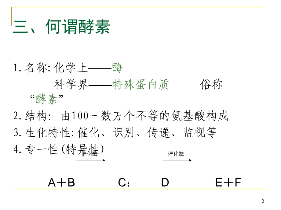 微生物与酵素的完整版课件.ppt_第3页