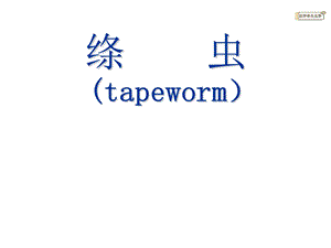 带绦虫（tapeworm）课件.ppt