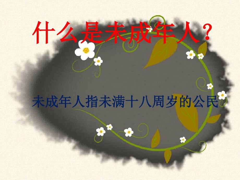 《未成年人保护法》培训讲学课件.ppt_第3页