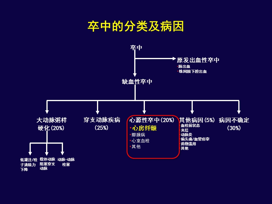 房颤卒中预防的危险分层及出血风险评估ppt课件.ppt_第3页