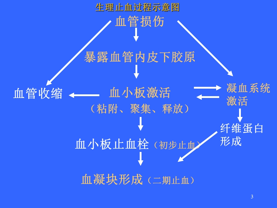 DIC弥散性血管内凝血_课件.ppt_第3页