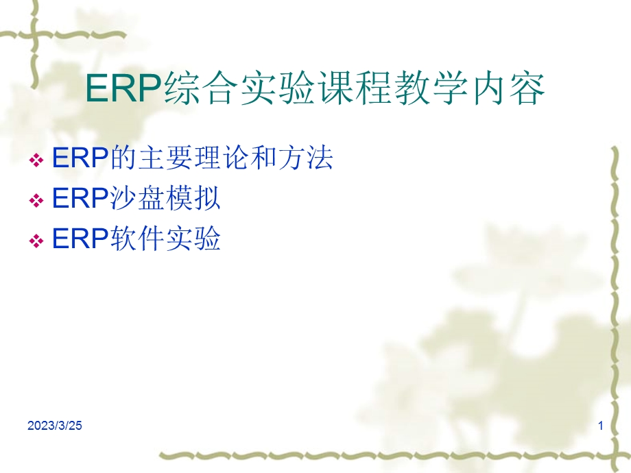 ERP系统的发展历程课件.ppt_第1页