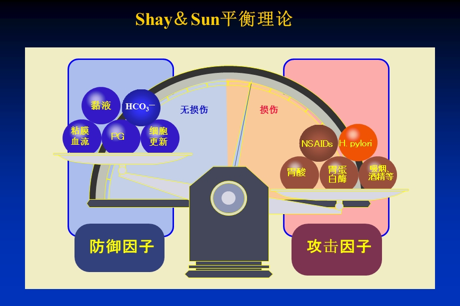 胃黏膜 课件.ppt_第3页