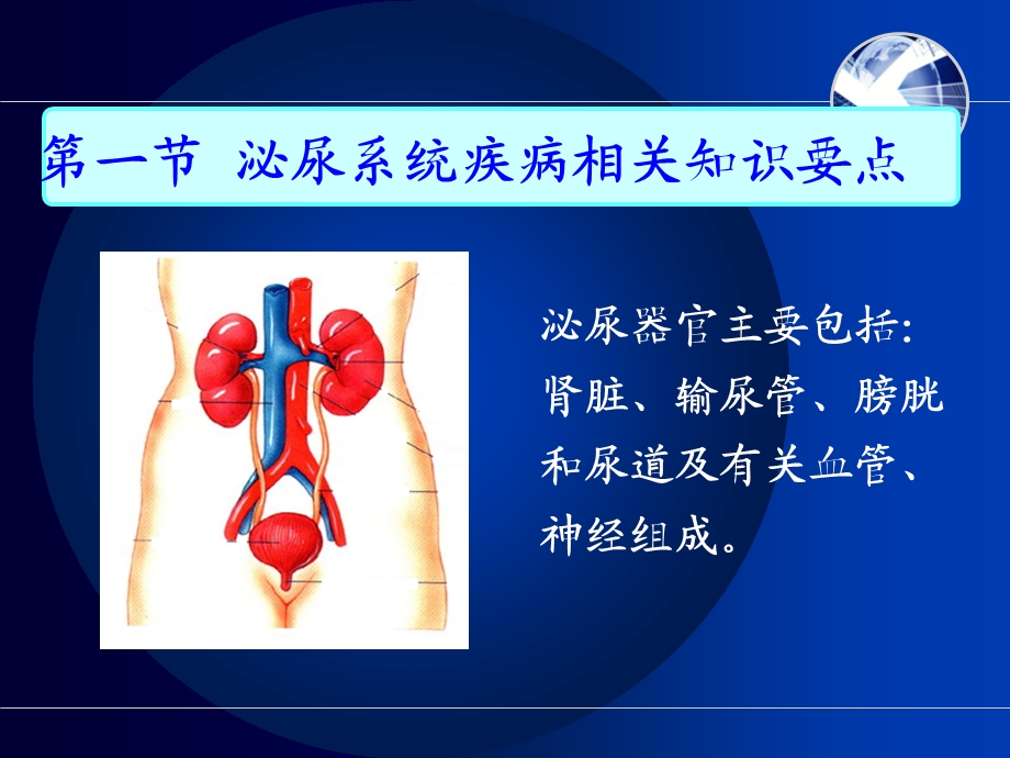 护士执业资格考试内科护理学第五章泌尿系统疾病病人护理课件.ppt_第2页