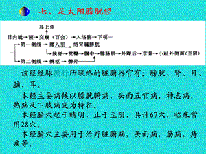 足太阳膀胱经 该经经脉循行所联络的脏腑器官有：膀胱、课件.ppt