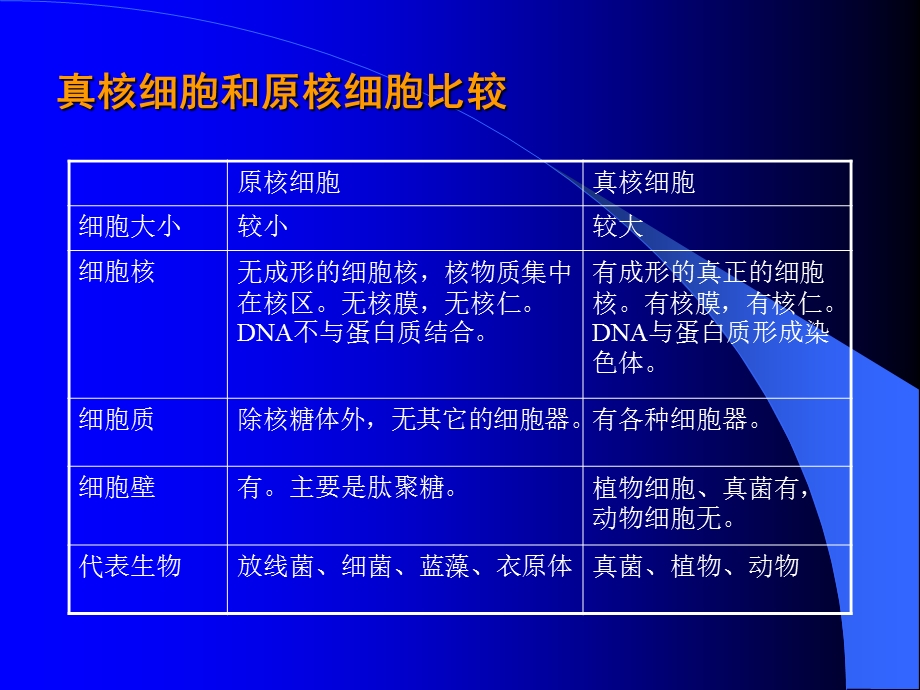 海洋药用生物资源——原生动物课件.ppt_第3页